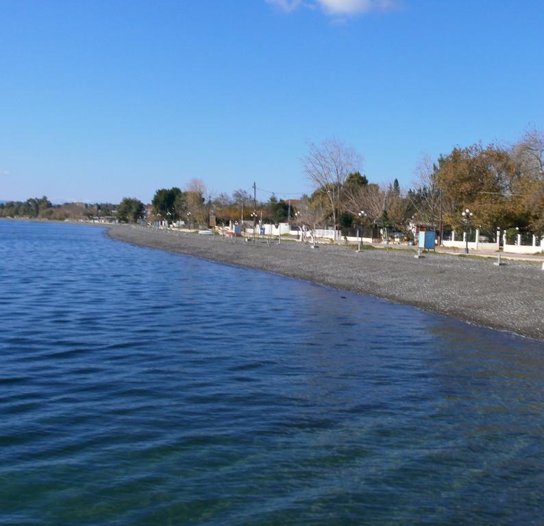 Artemis - Marina Apartments Evia Номер фото